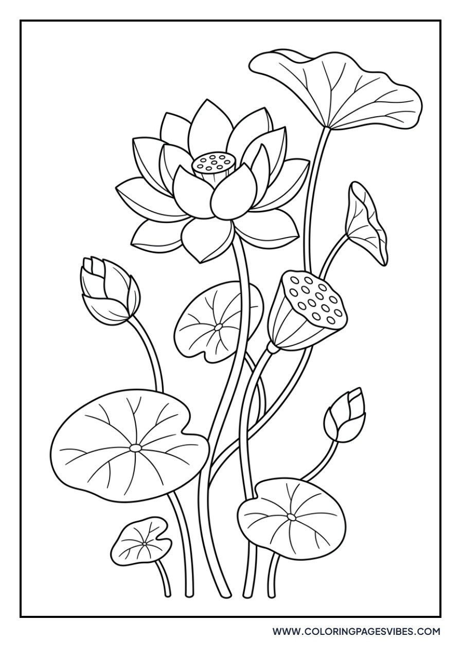 Realistic Lotus Botanical