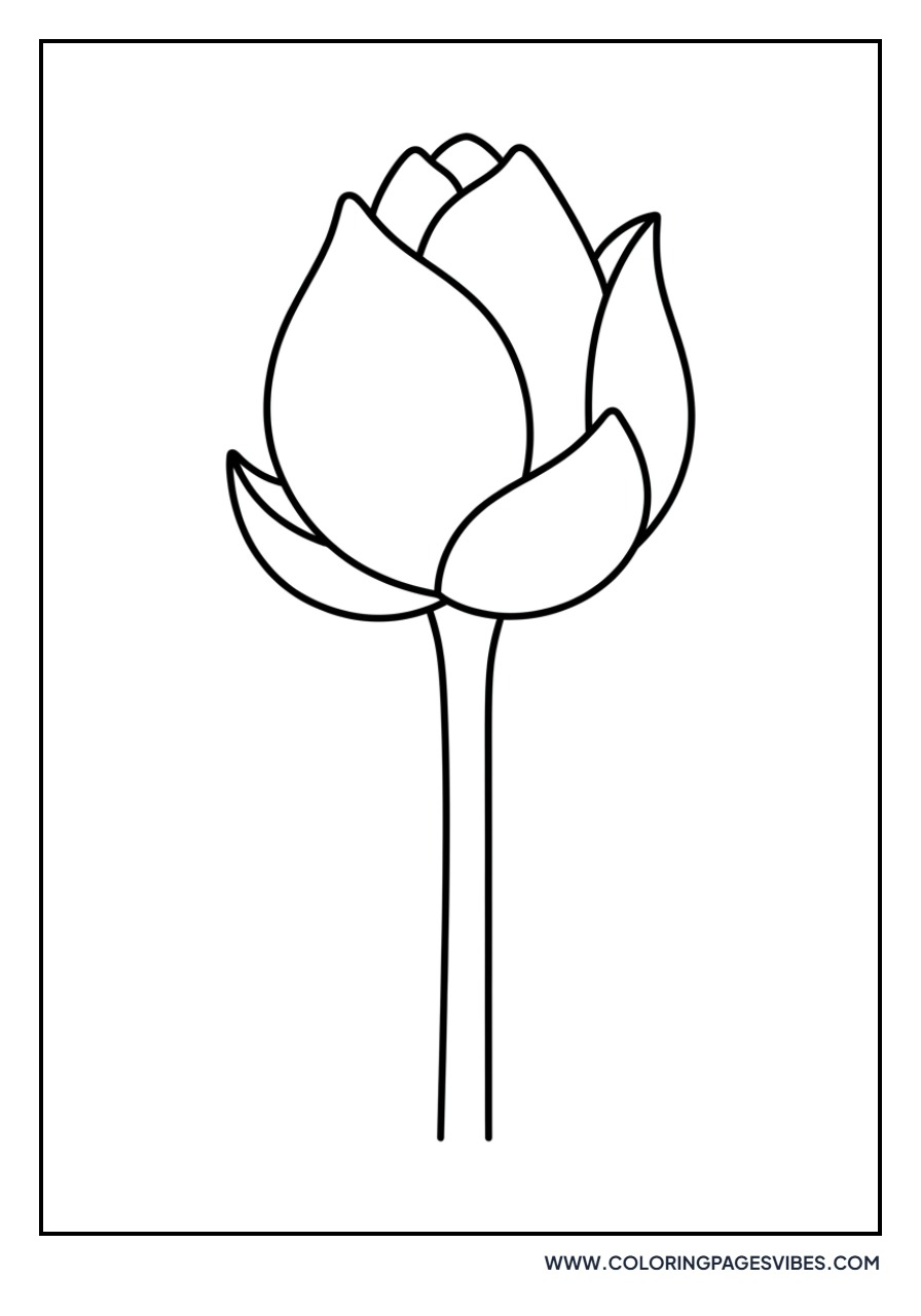 Simple Lotus Bud