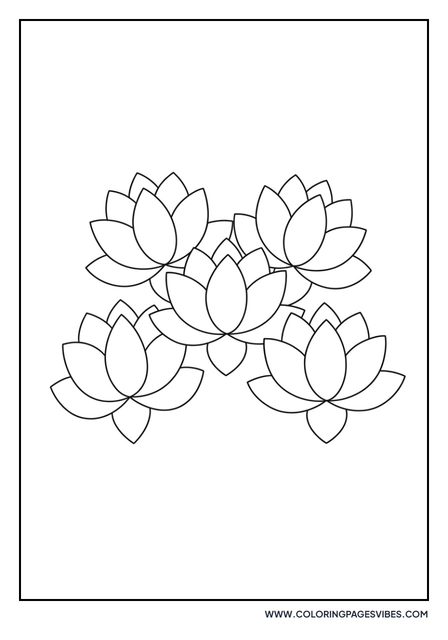 Small Lotus Cluster