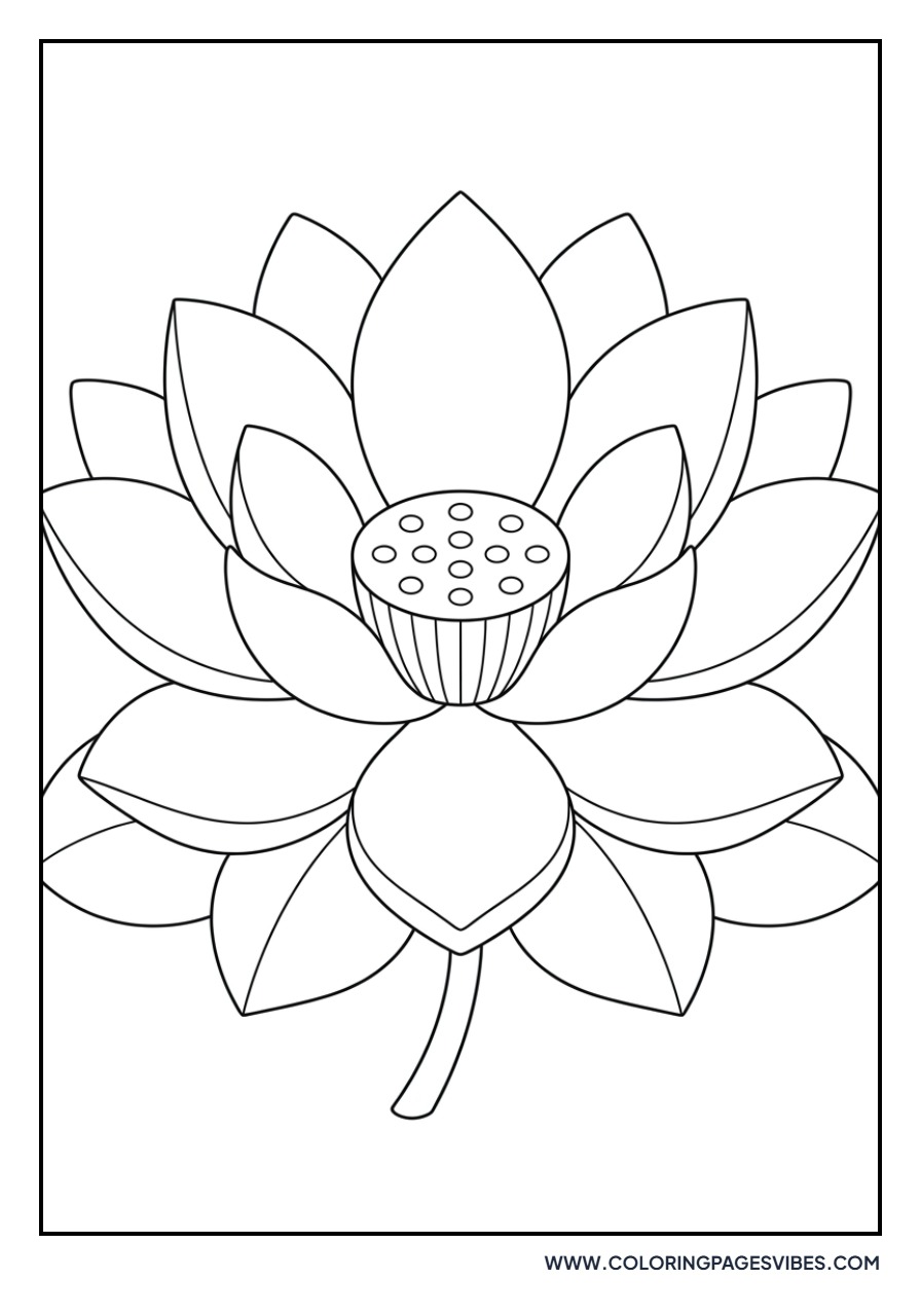 Symmetrical Lotus Design