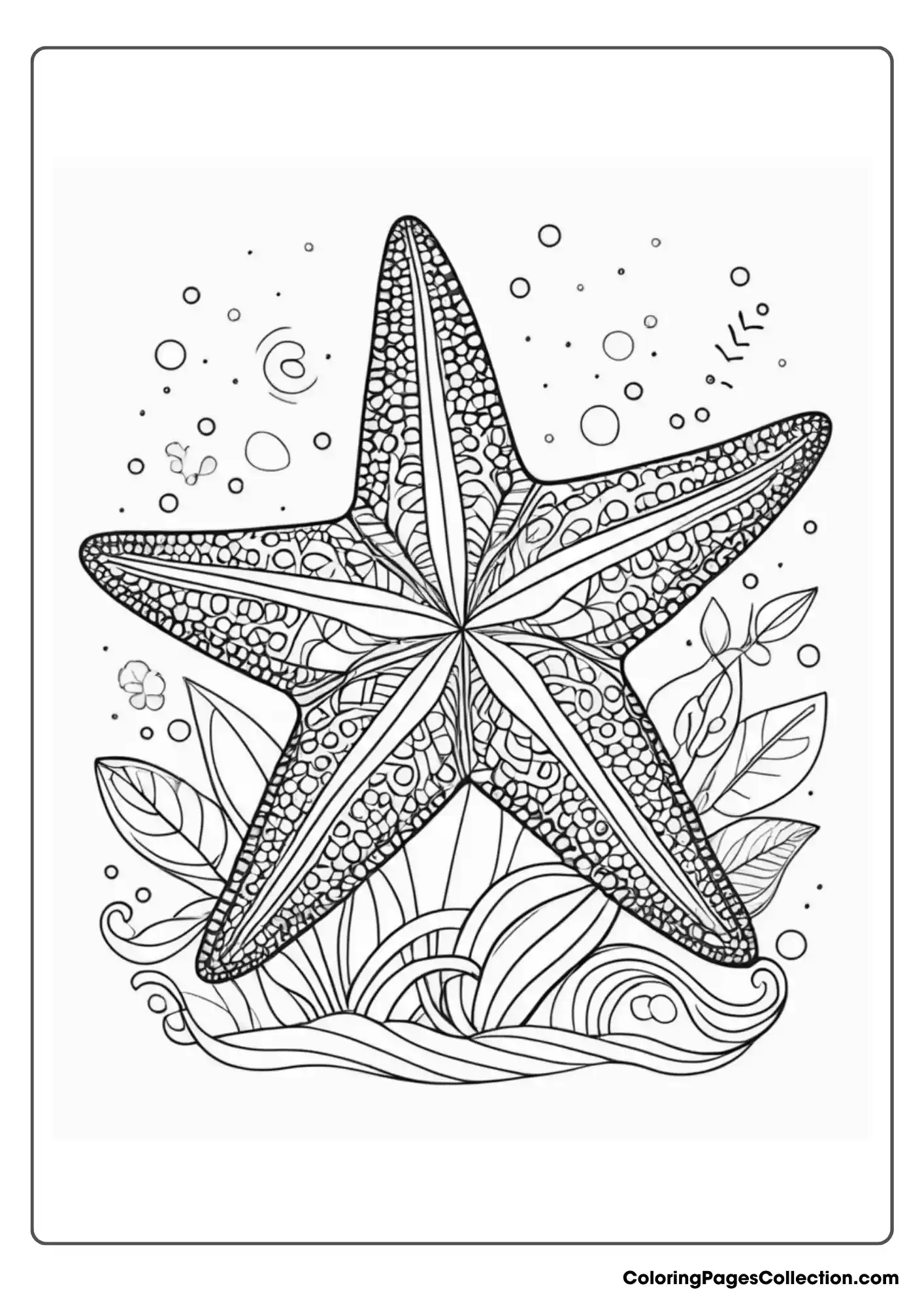 ocean coloring pages