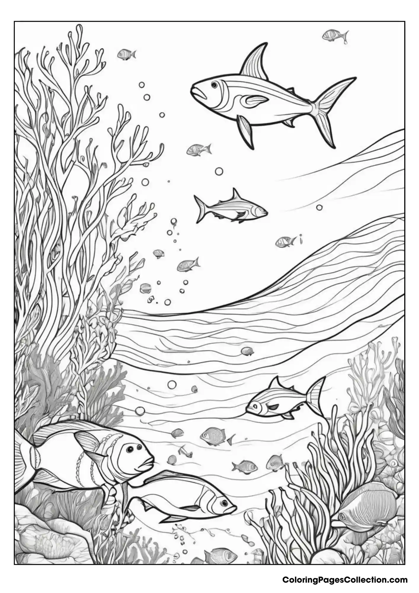 ocean coloring pages