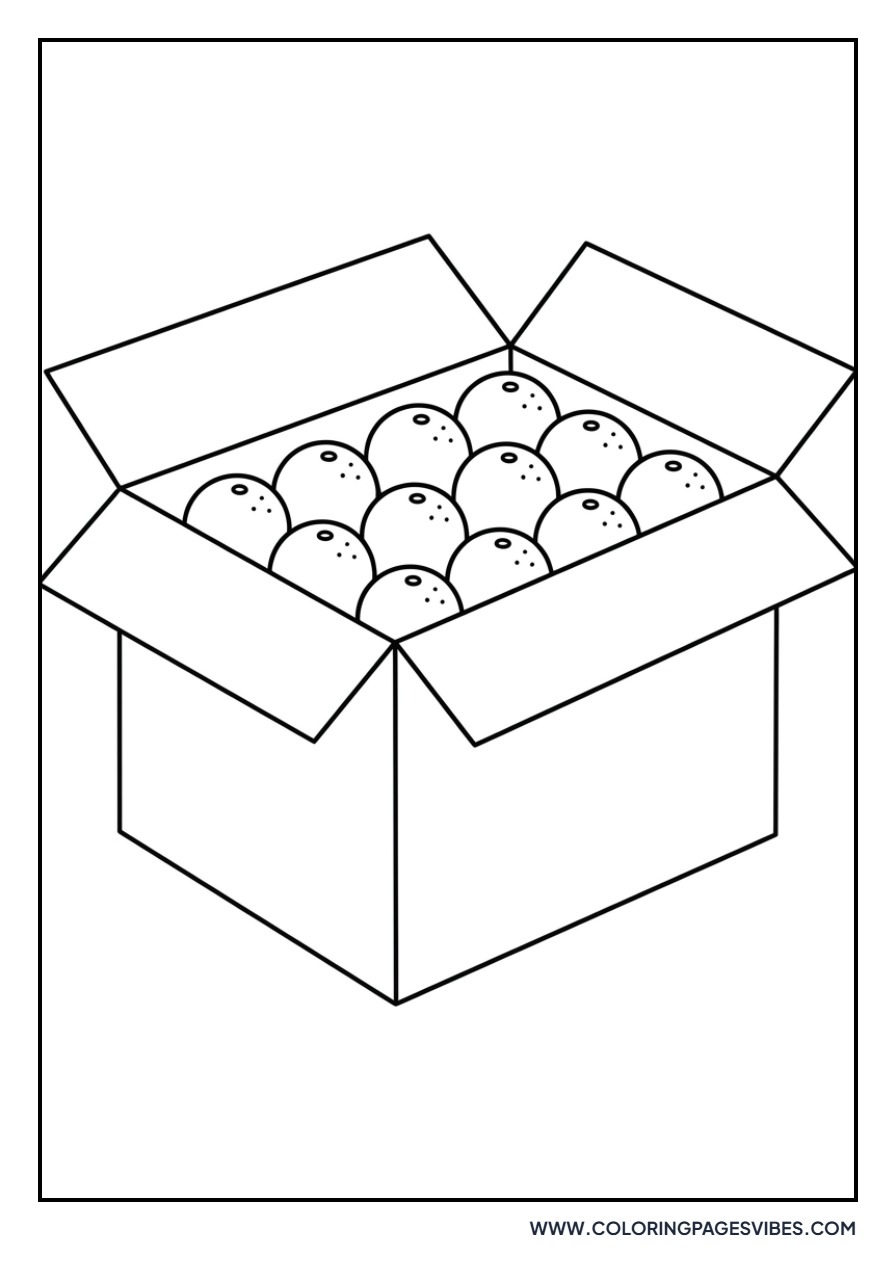 Box of 12 Oranges