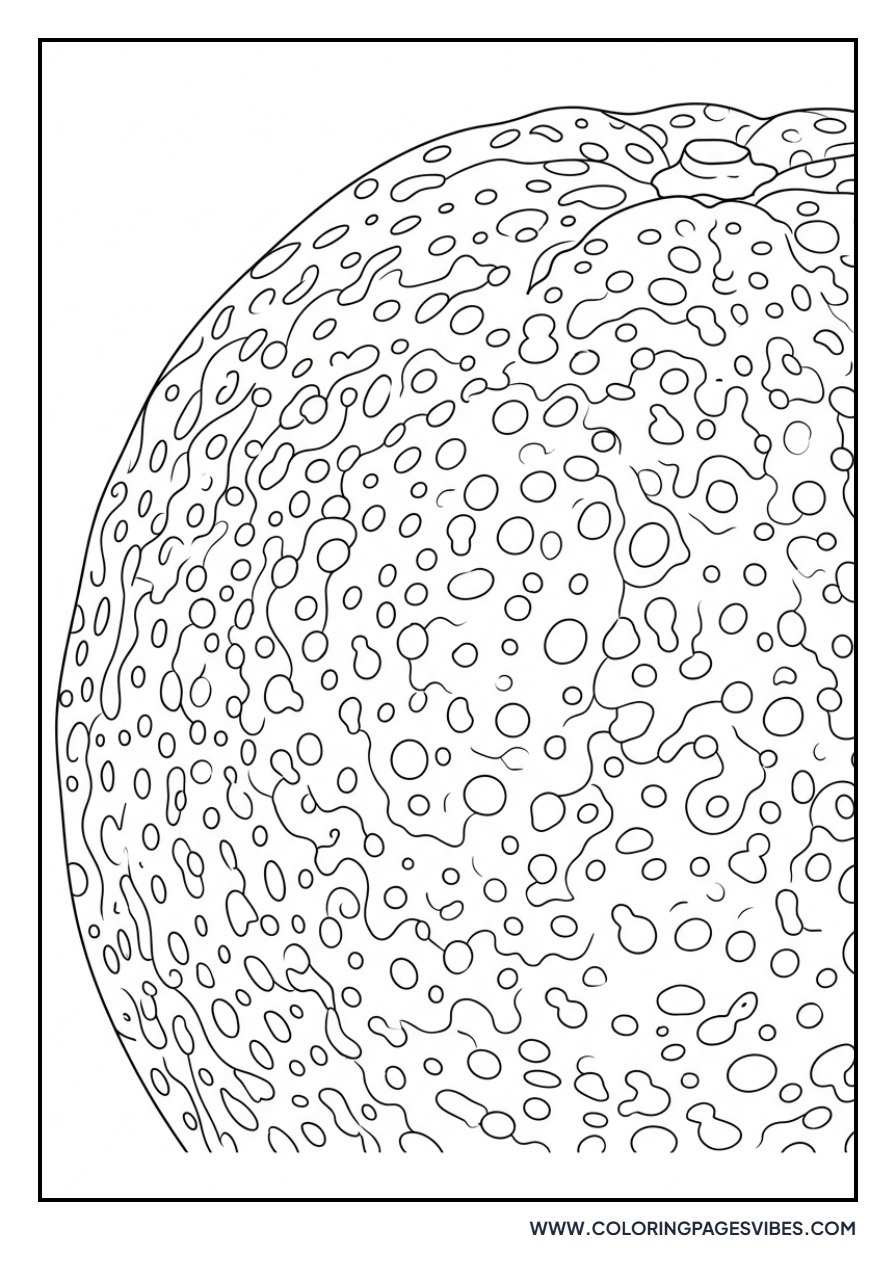 Detailed Orange Skin