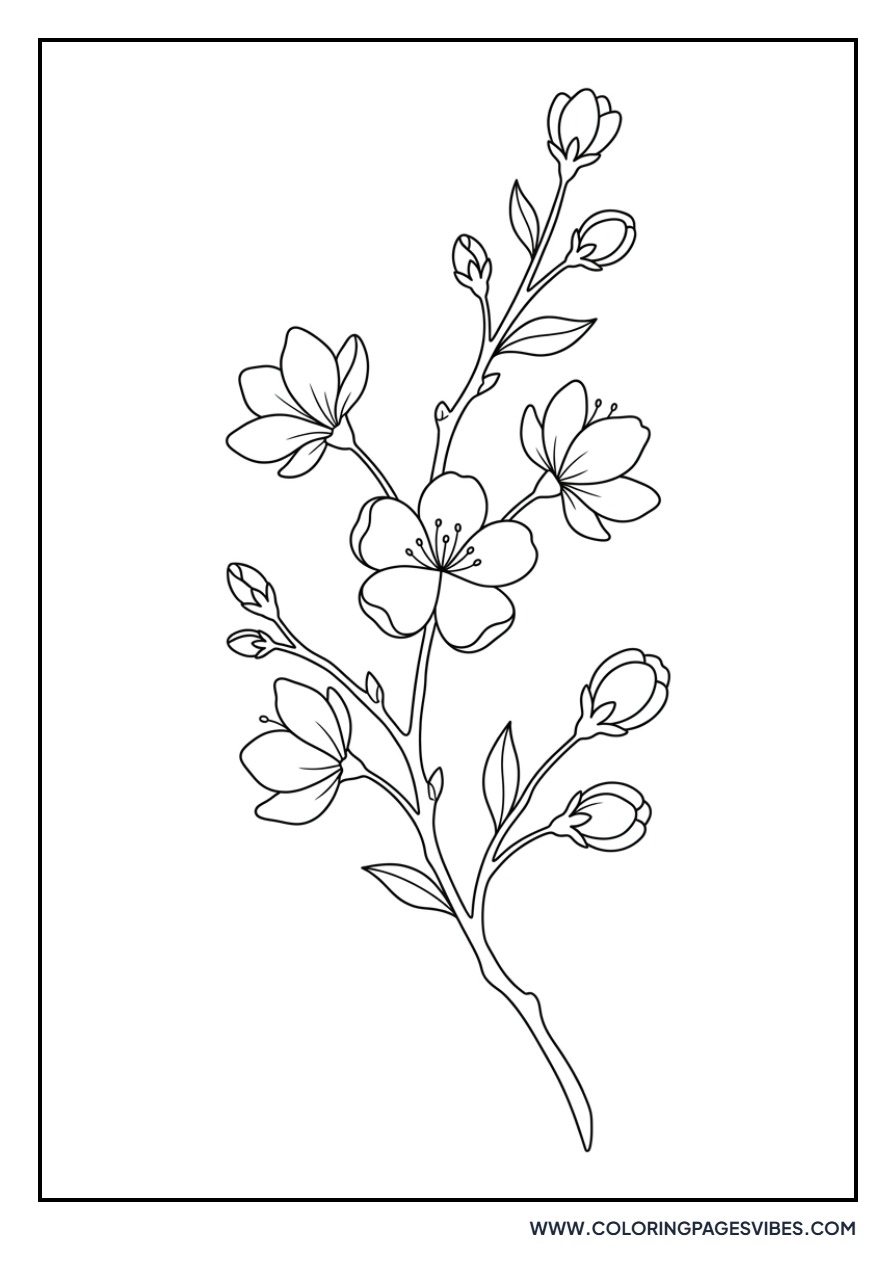 Orange Blossom Flowers