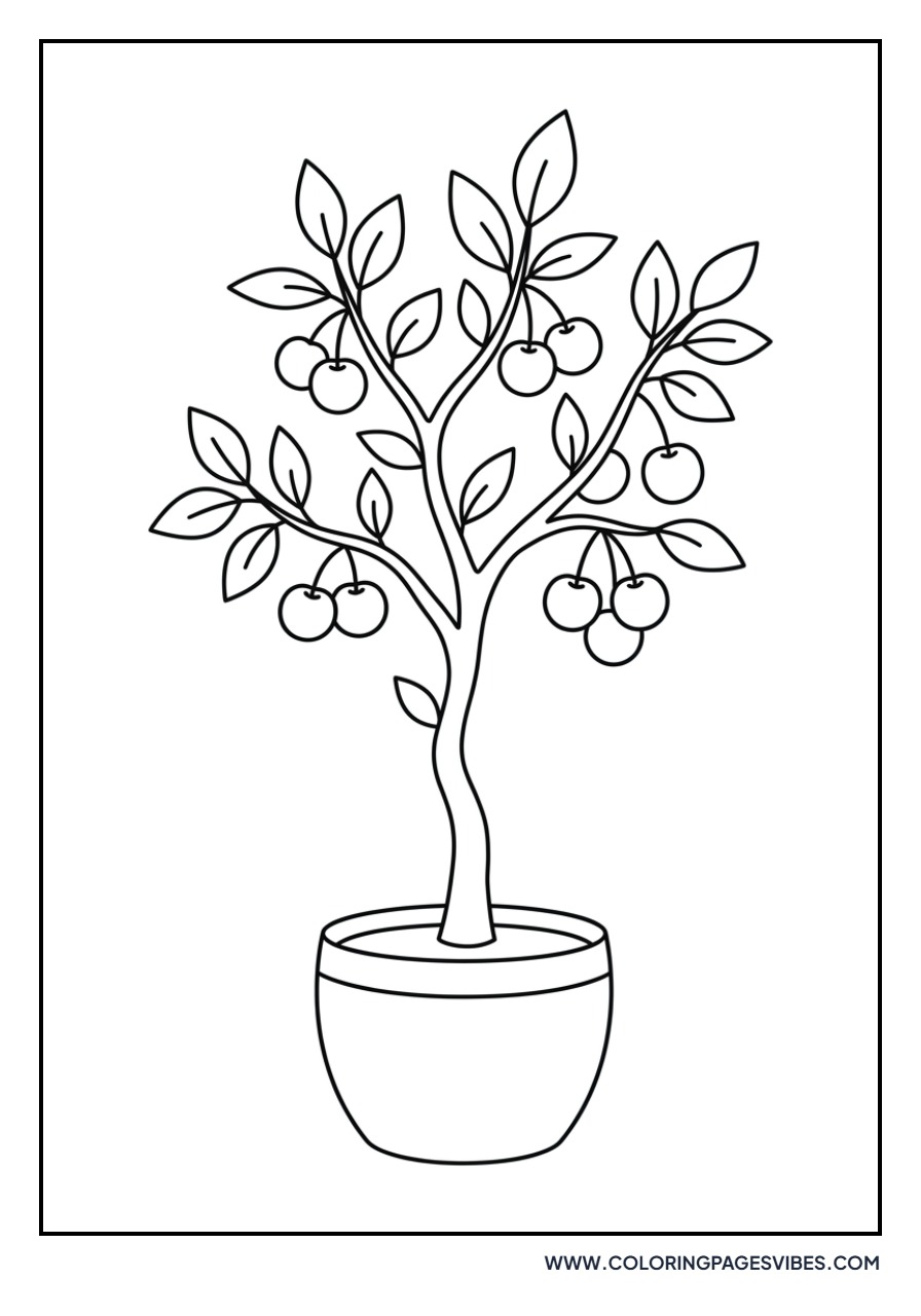 Orange Tree in a Pot