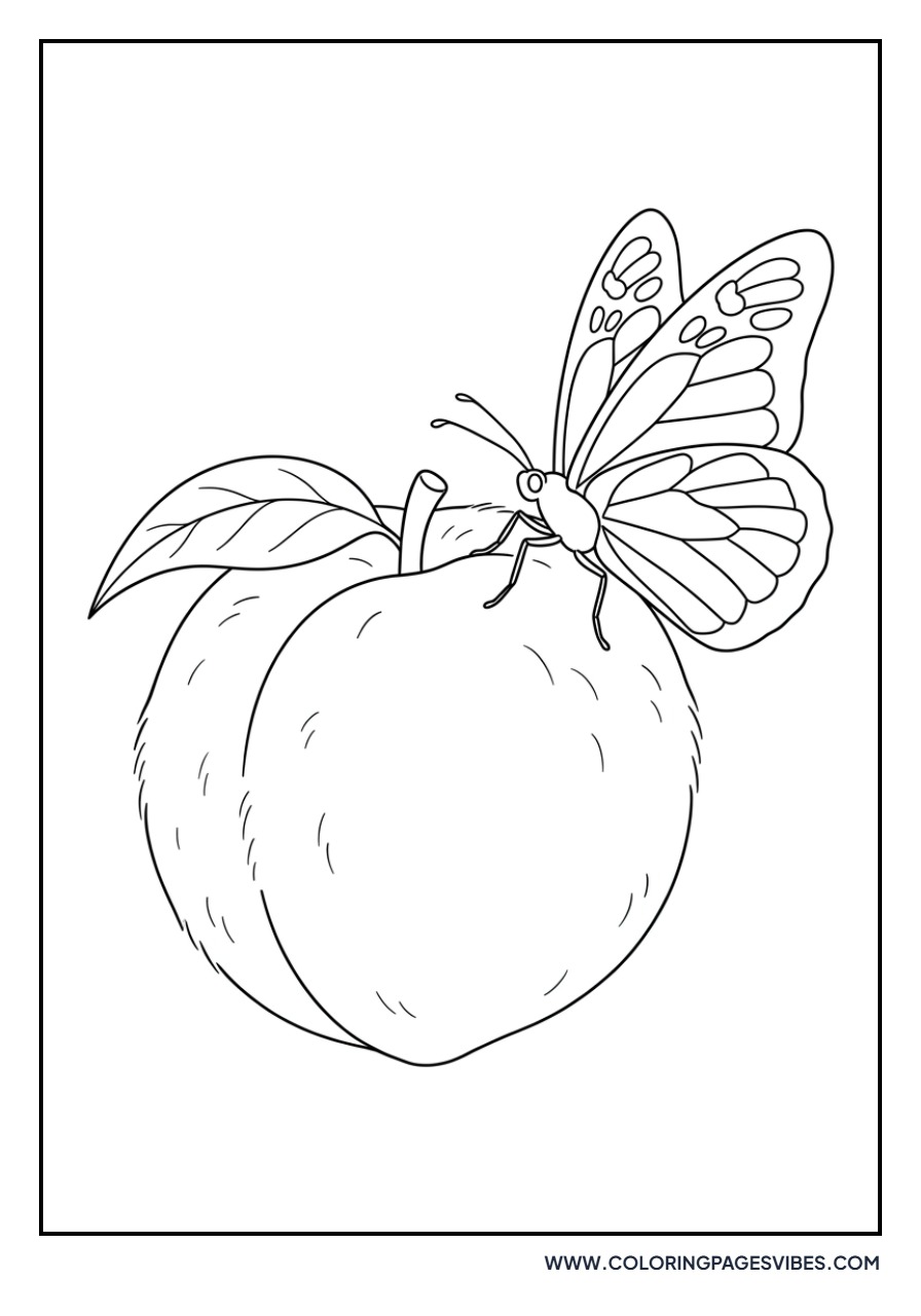 Butterfly on Peach