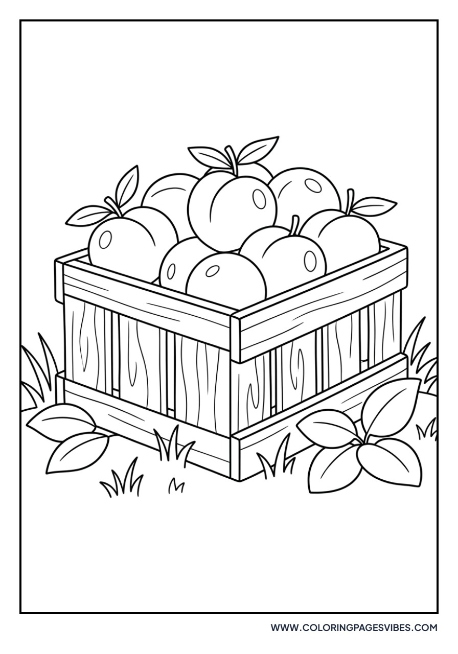 Garden Peach Harvest