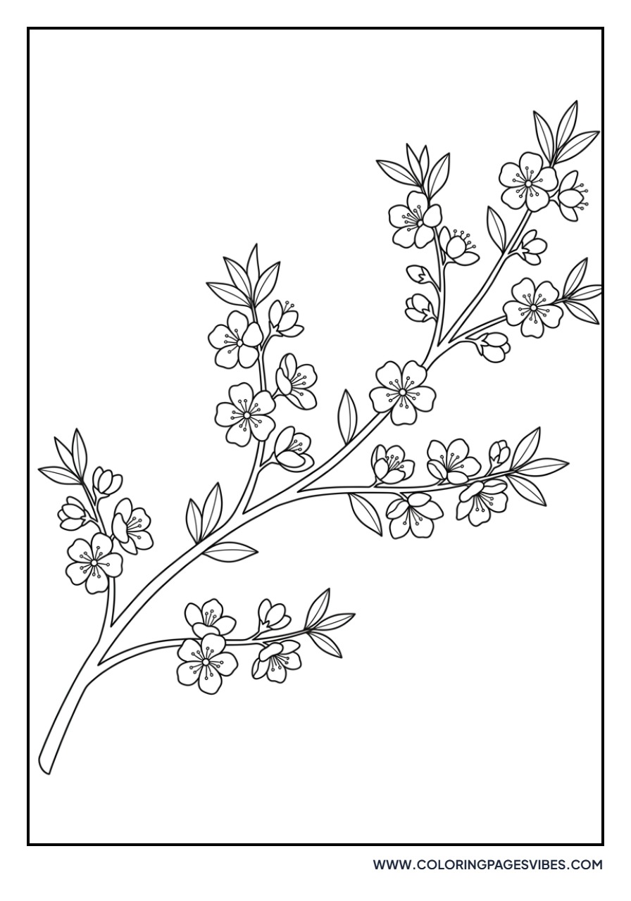 Peach Blossom Branch