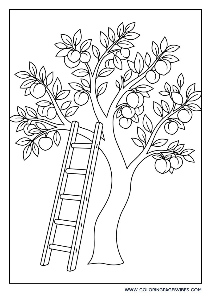 Peach Harvest Ladder
