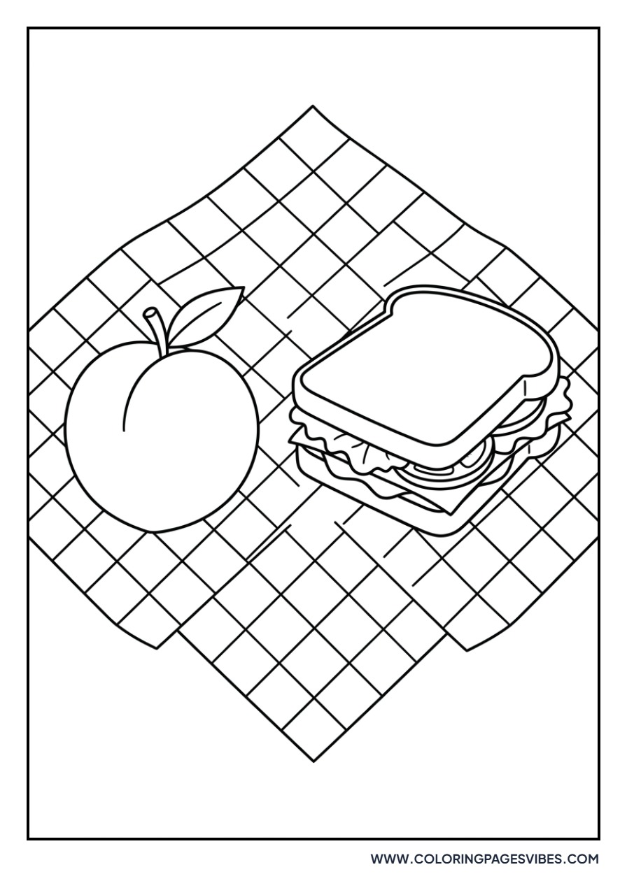 Peach Picnic Blanket