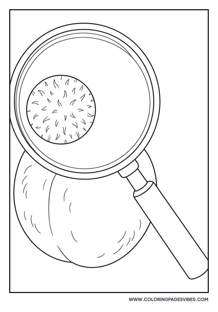 Peach with Magnifying Glass