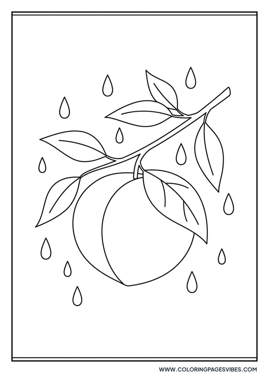 Rainy Peach Day