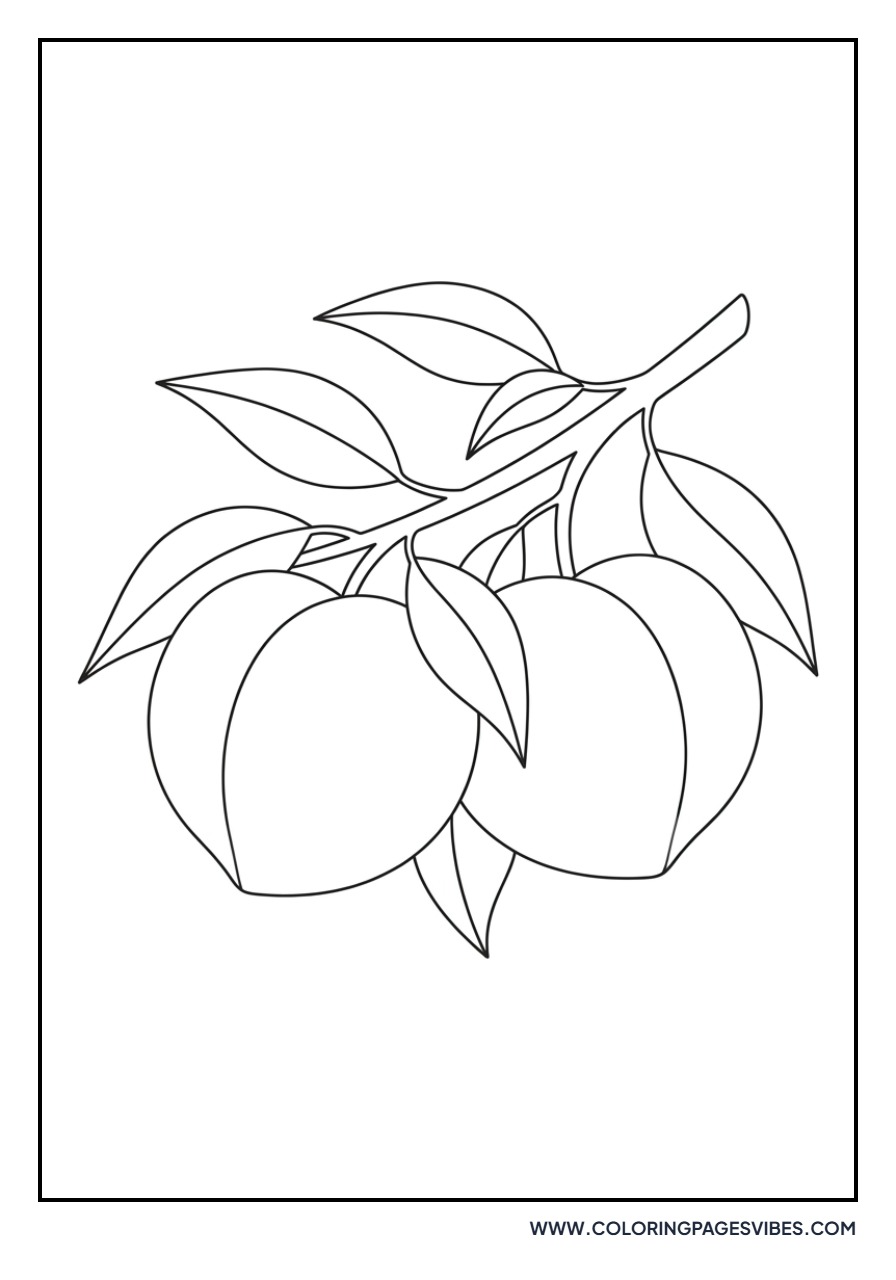 Two Peaches on Branch