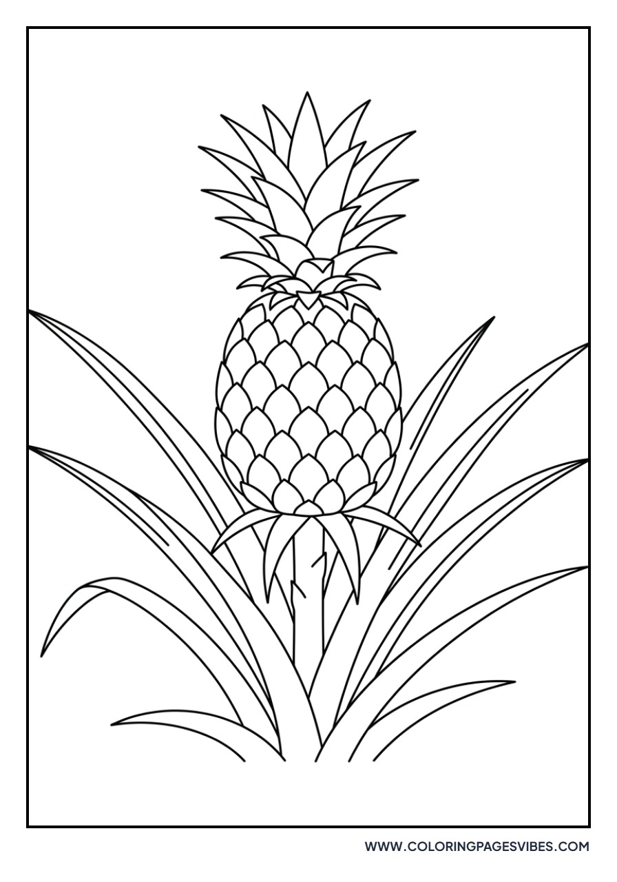 Tiny Pineapple Plant
