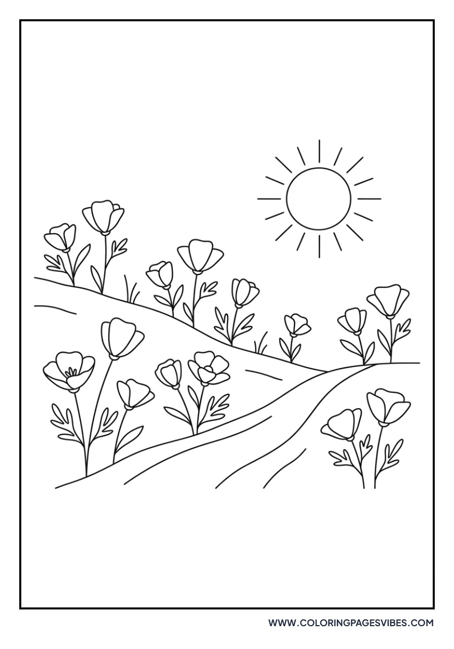 California Poppy Field