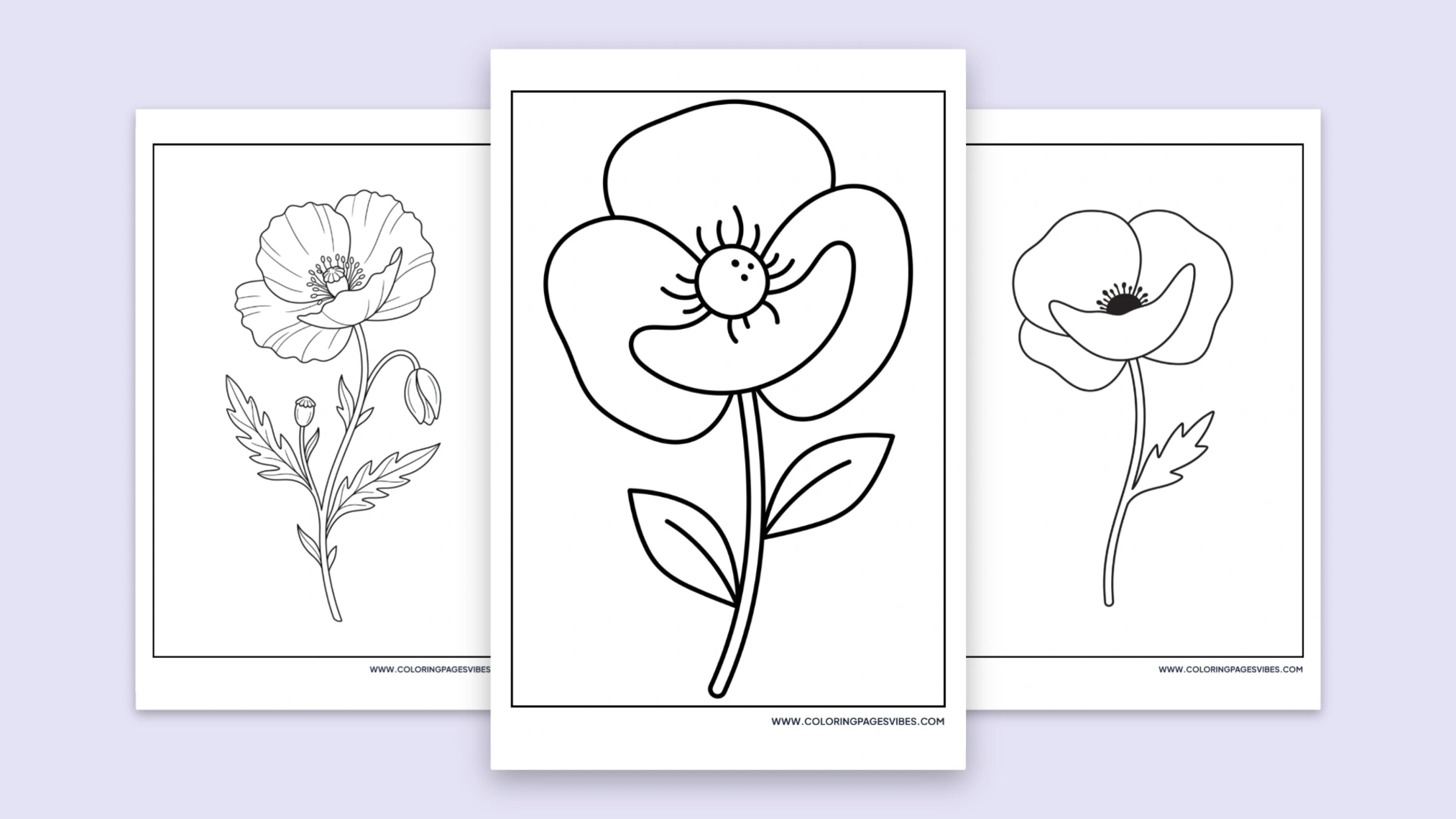 48  Free Poppy Coloring Pages (Printable PDF)