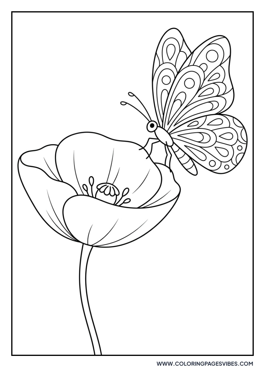 Poppy and Butterfly