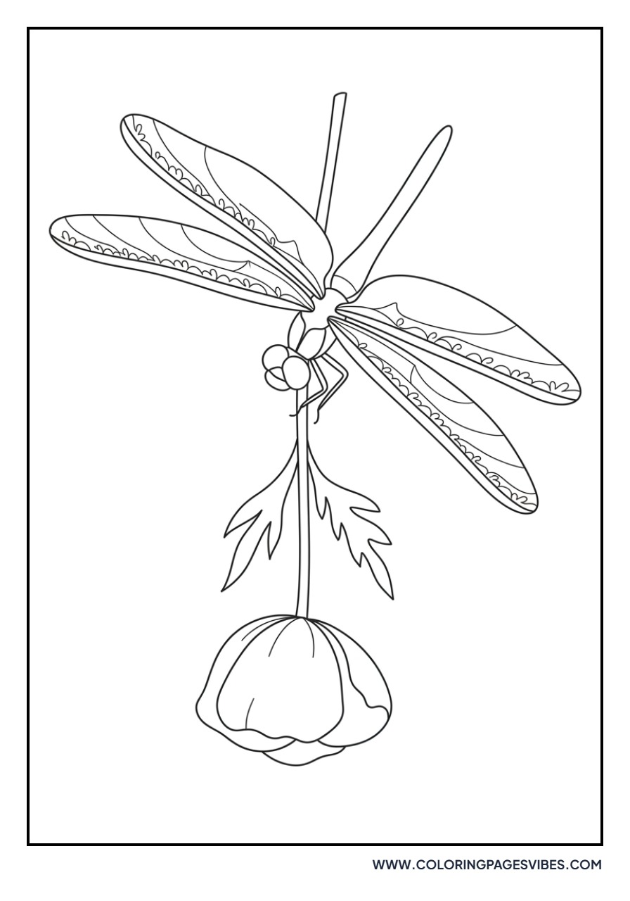 Poppy and Garden Dragonfly
