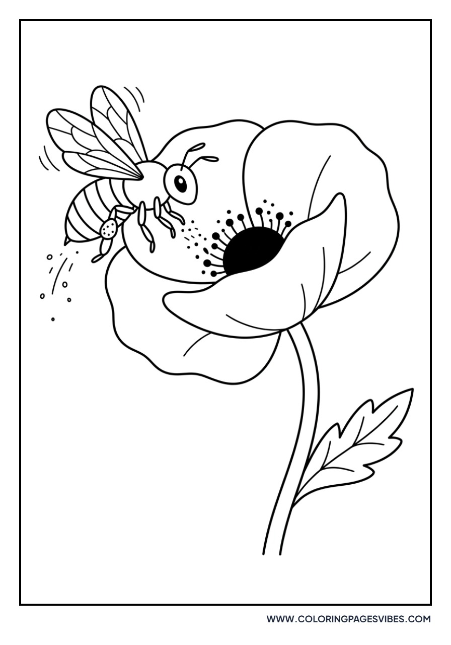 Poppy and Honeybee