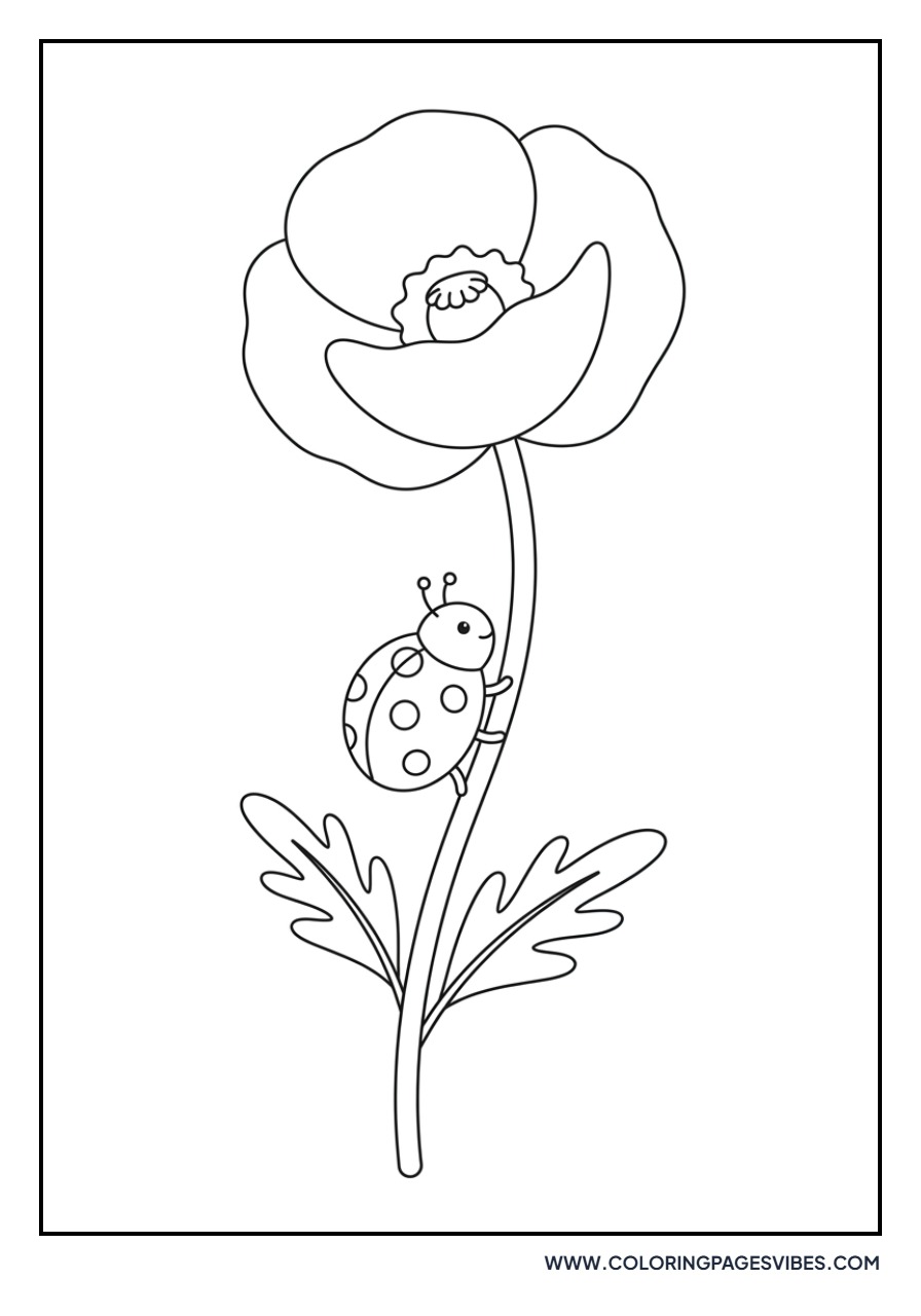 Poppy and Ladybug