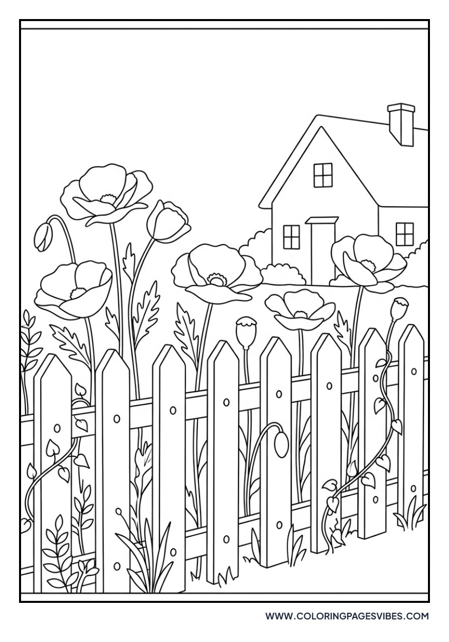 Poppy and Picket Fence