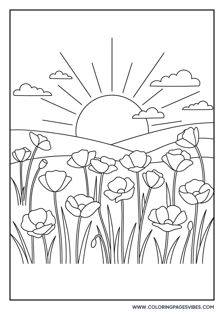 Poppy Field at Sunset