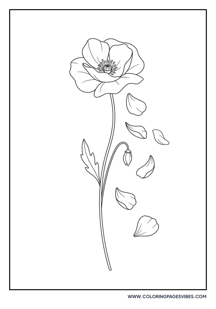 Poppy Petals Falling