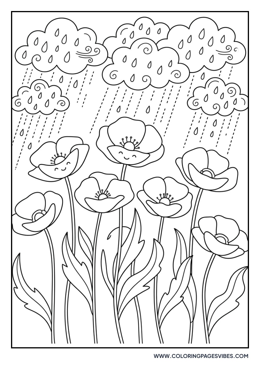 Poppy with Rain Clouds