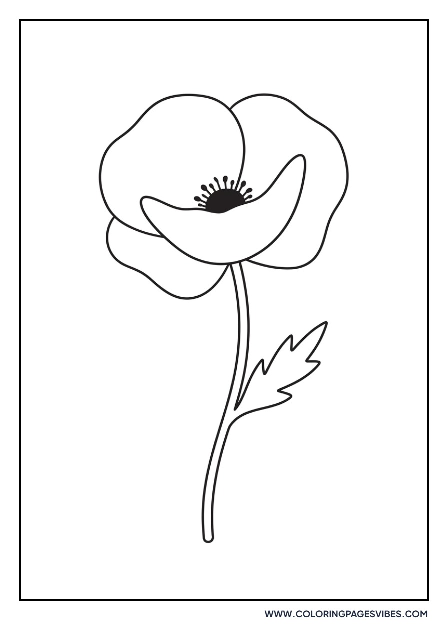 Remembrance Day Poppy
