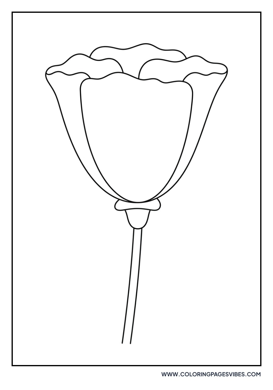 Simple California Poppy