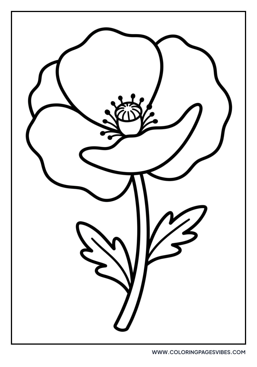 Simple Poppy Bloom