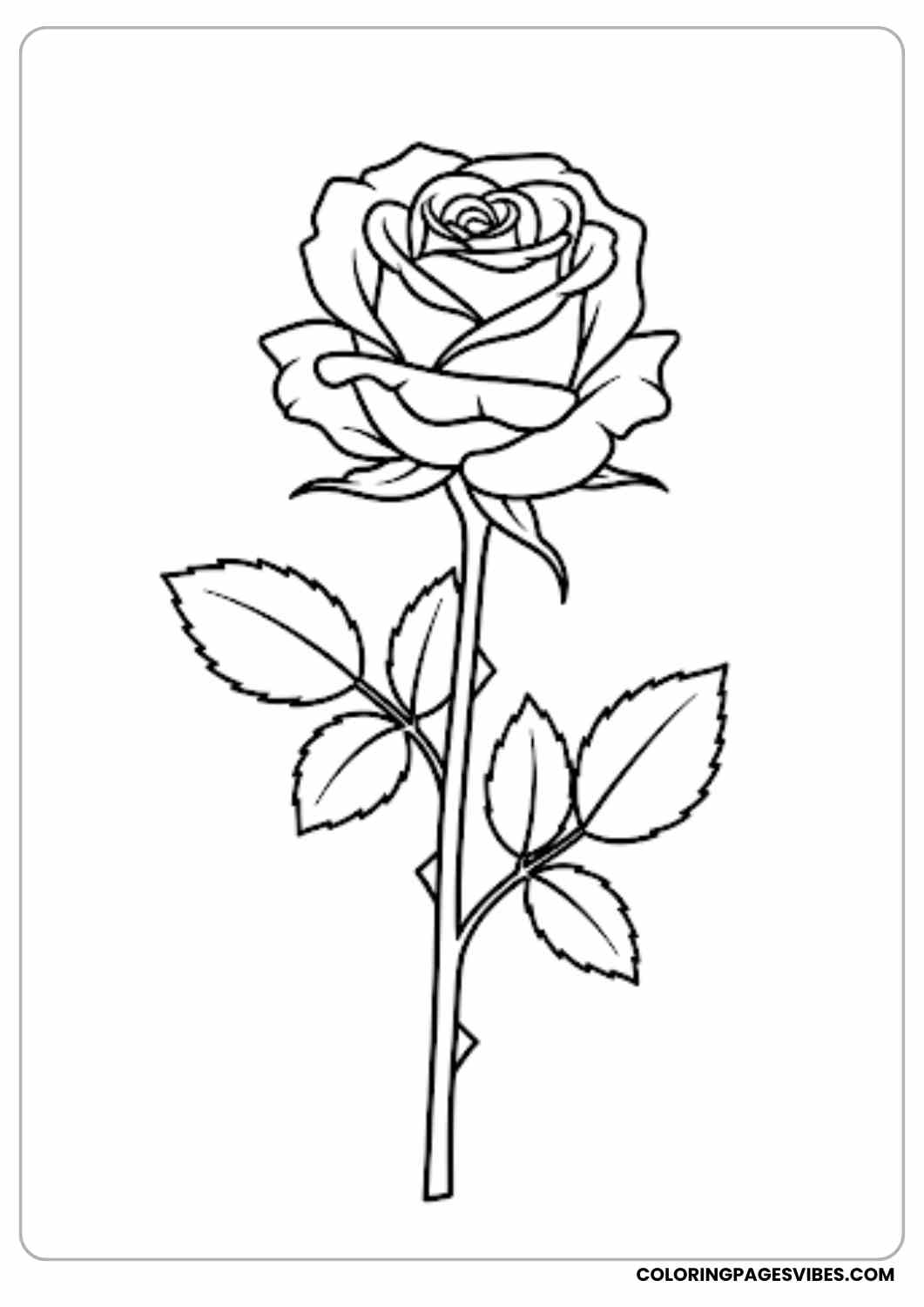 simple rose outline coloring page coloring page
