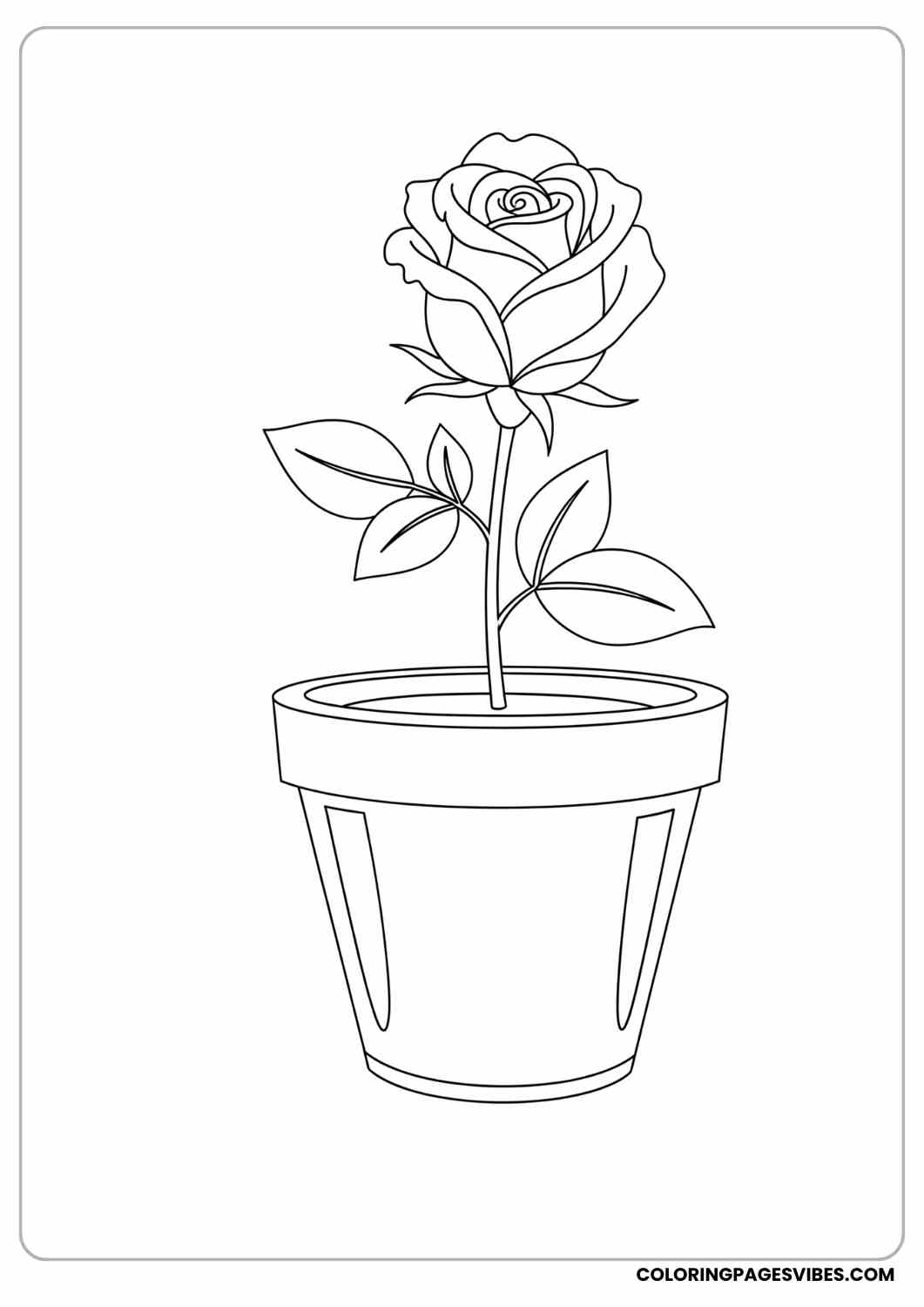 rose in a pot coloring page