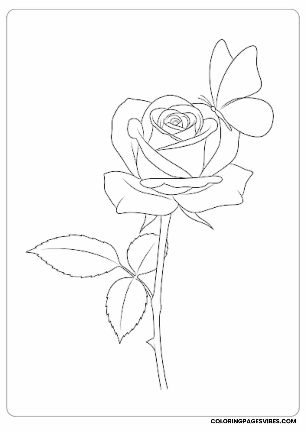 rose with butterfly resting coloring page