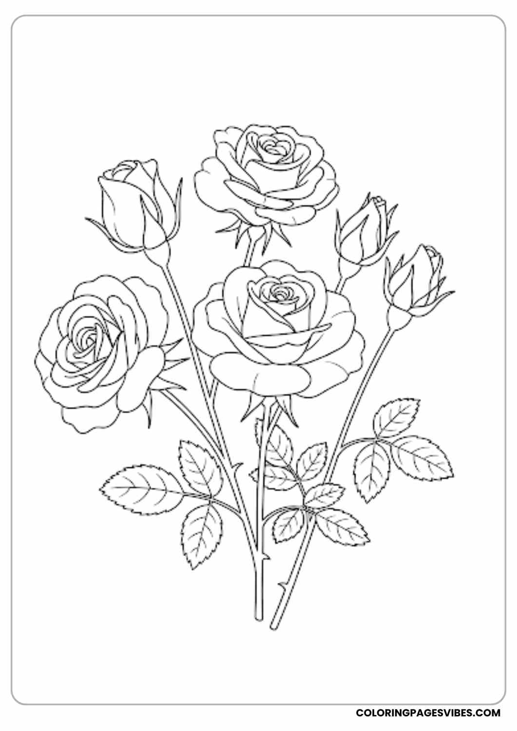 rose bush with flowers coloring page