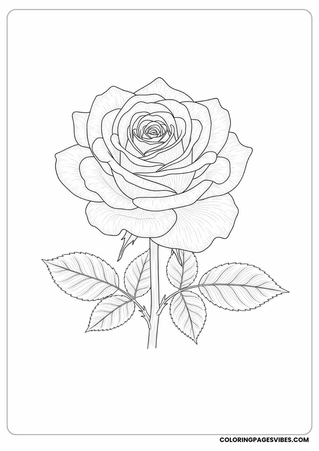 dripping rose art page coloring page