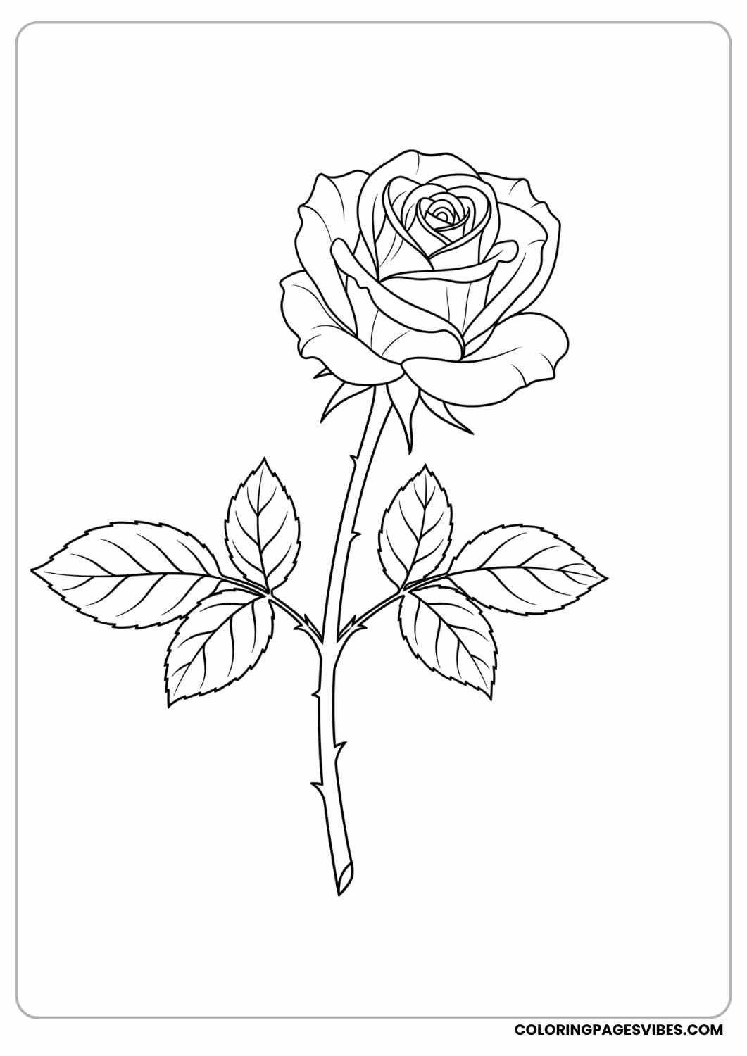 single rose with long stem coloring page