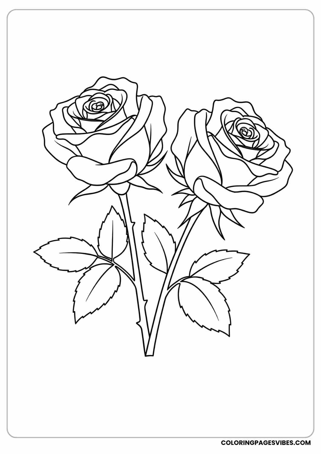 two roses side by side coloring page