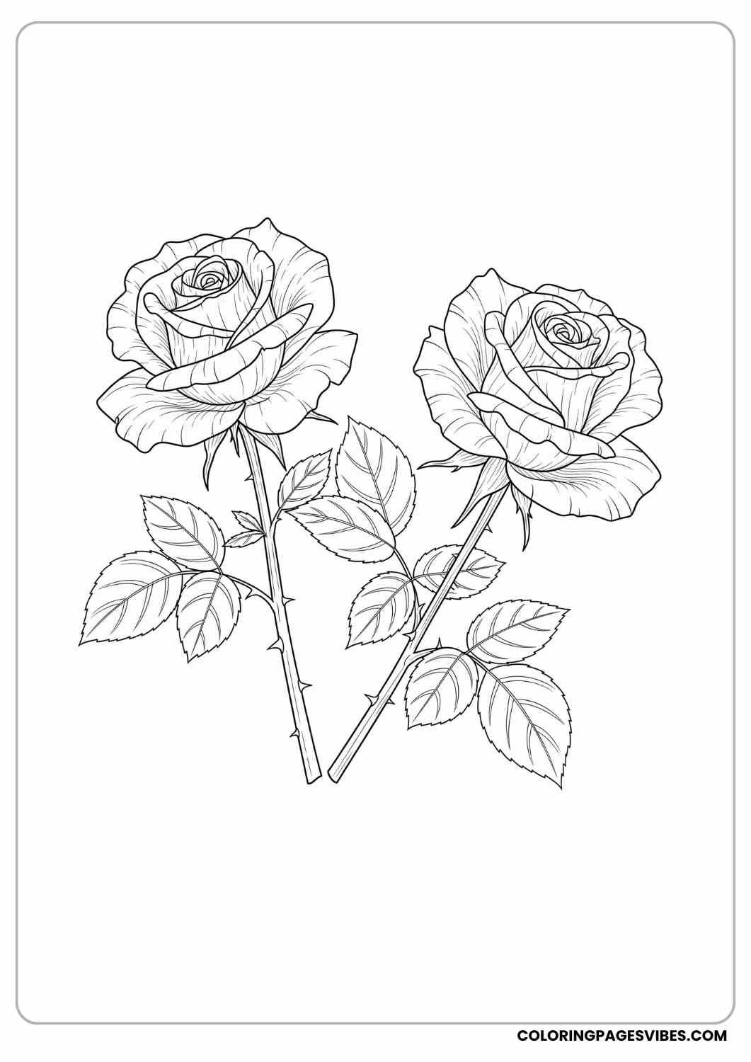two realistic roses coloring page