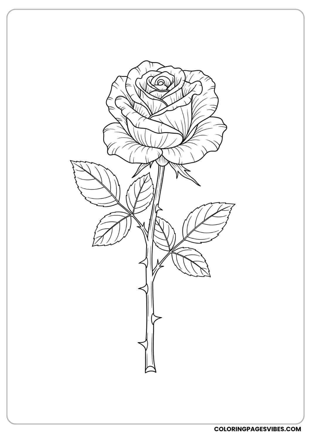 rose bloom with stem coloring page