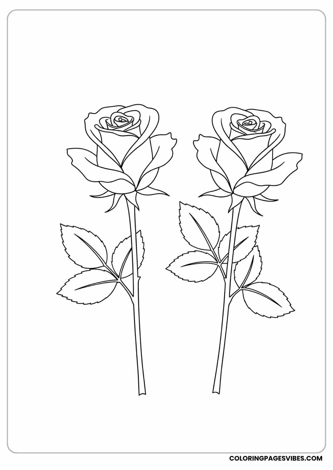 easy two roses page coloring page