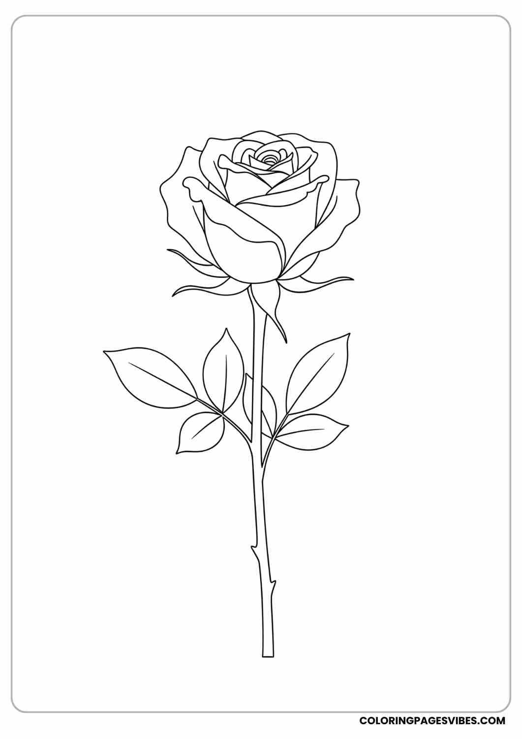 simple rose outline coloring page