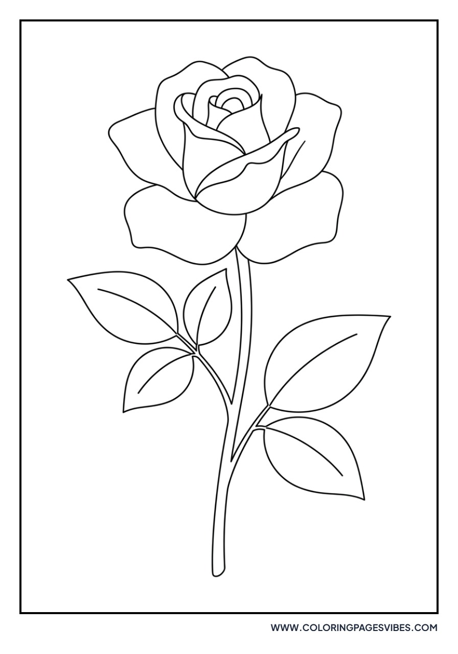 Classic Single Rose