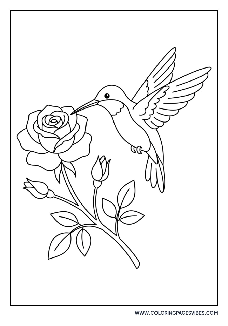 Hummingbird and Rose