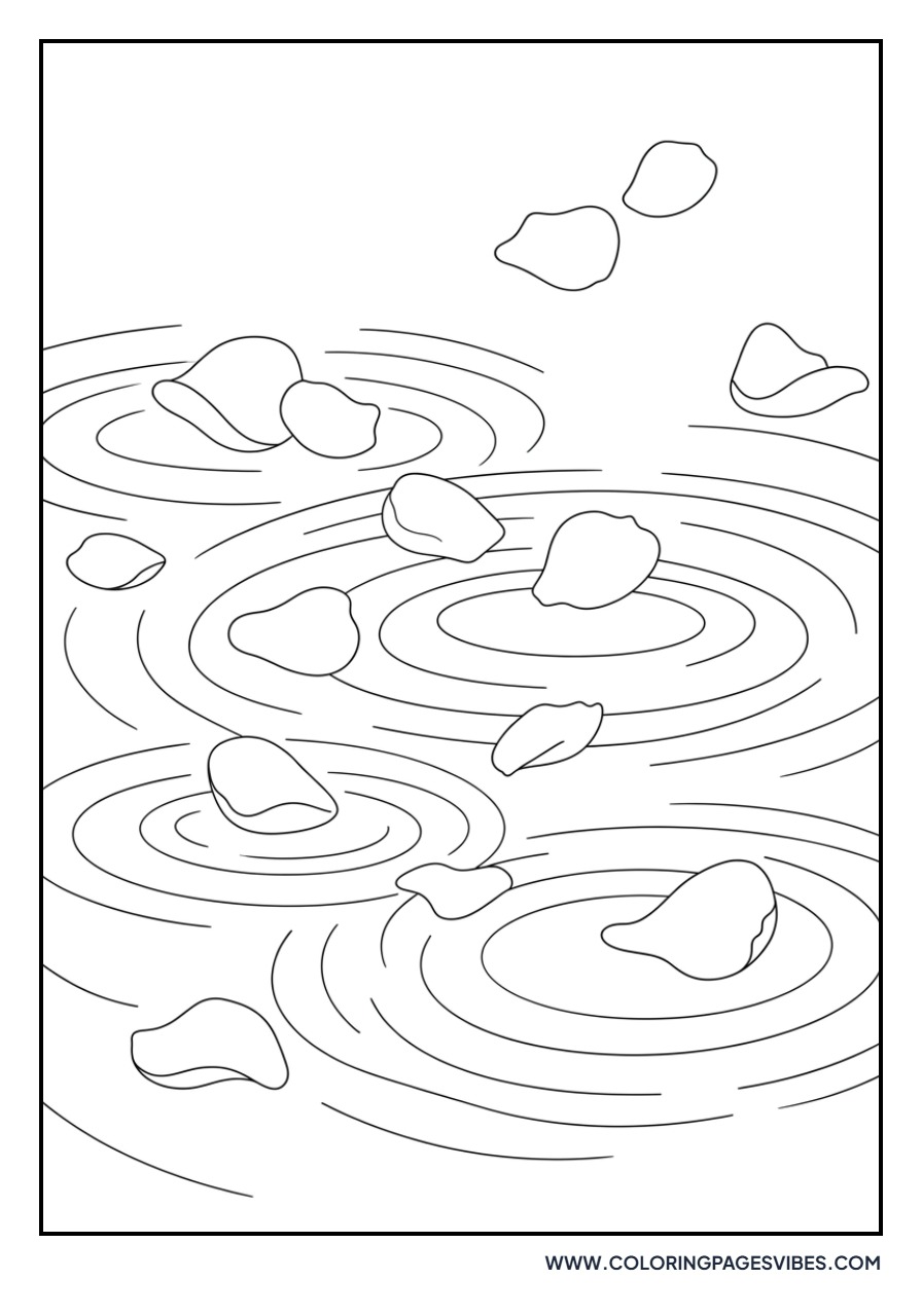 Rose Petals on Water