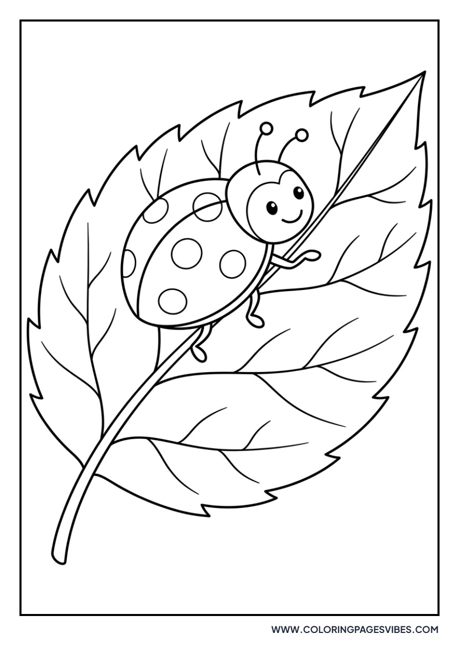 Rose with Ladybug
