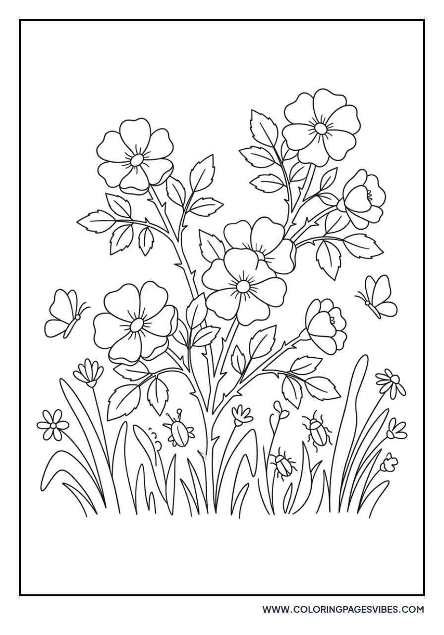 Wild Rose Prairie
