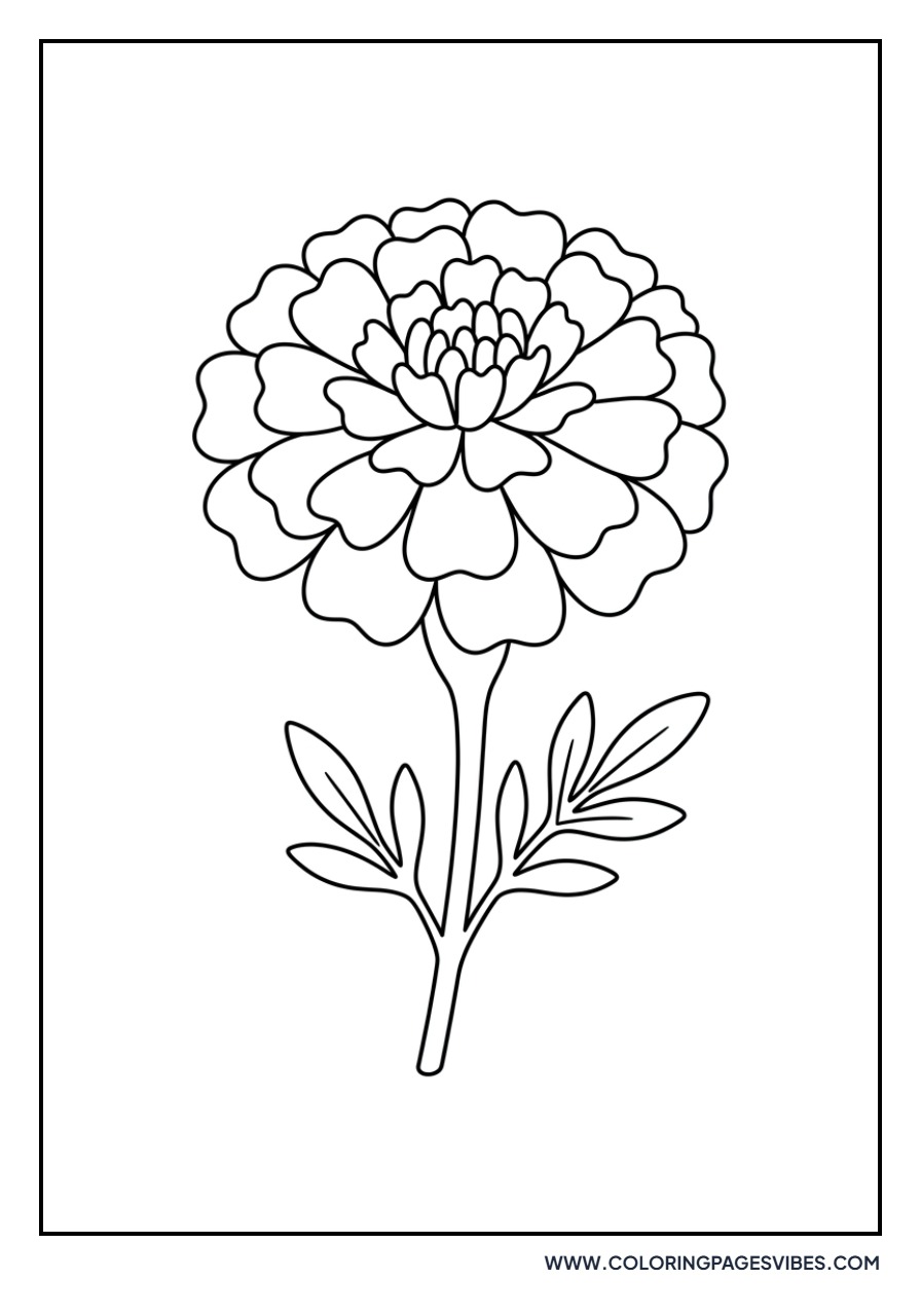 Bright French Marigold