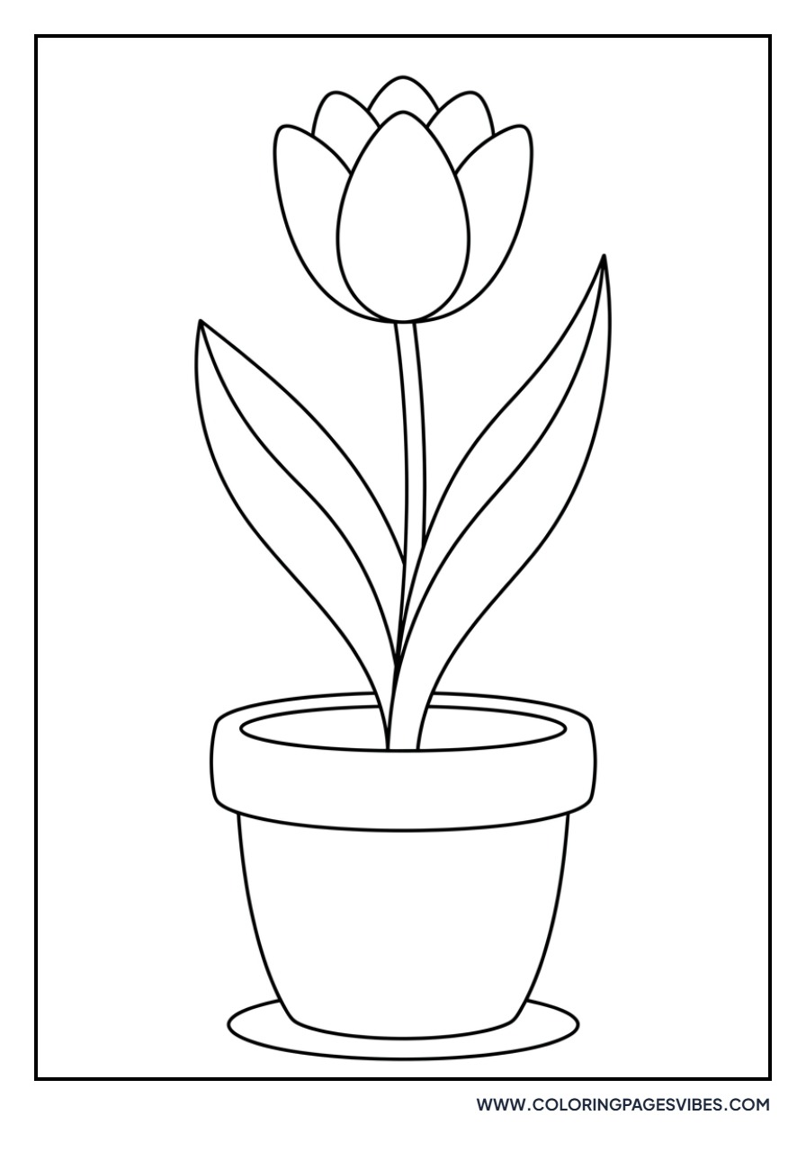 Cheerful Spring Tulip
